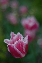 Day05 (276)